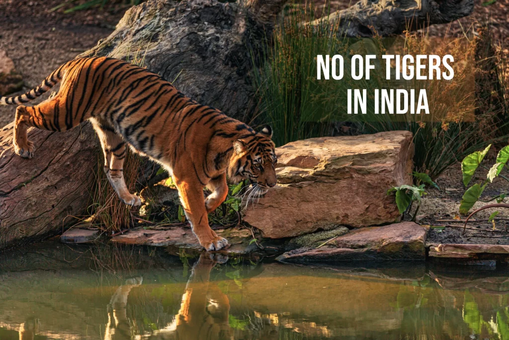 Number of Tigers in India 
